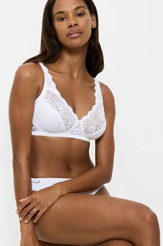 Soft model 229496 Triumph