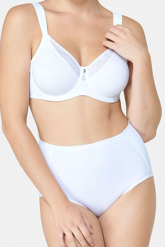 Soft model 229904 Triumph