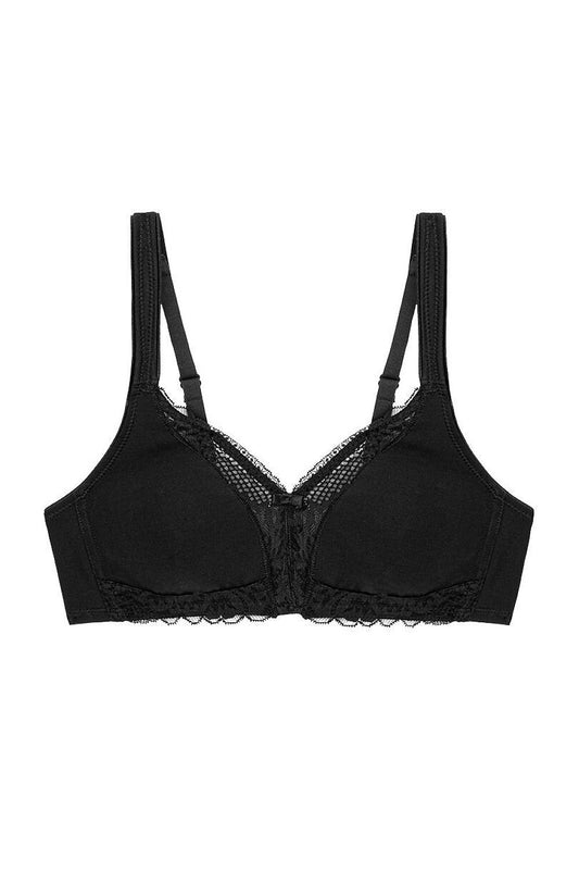 Soft model 229998 Triumph